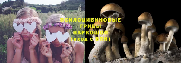 каннабис Богородицк