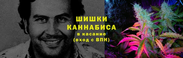 дурь Богданович